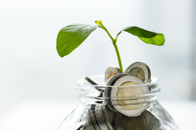 Le placement financier, un investissement avantageux